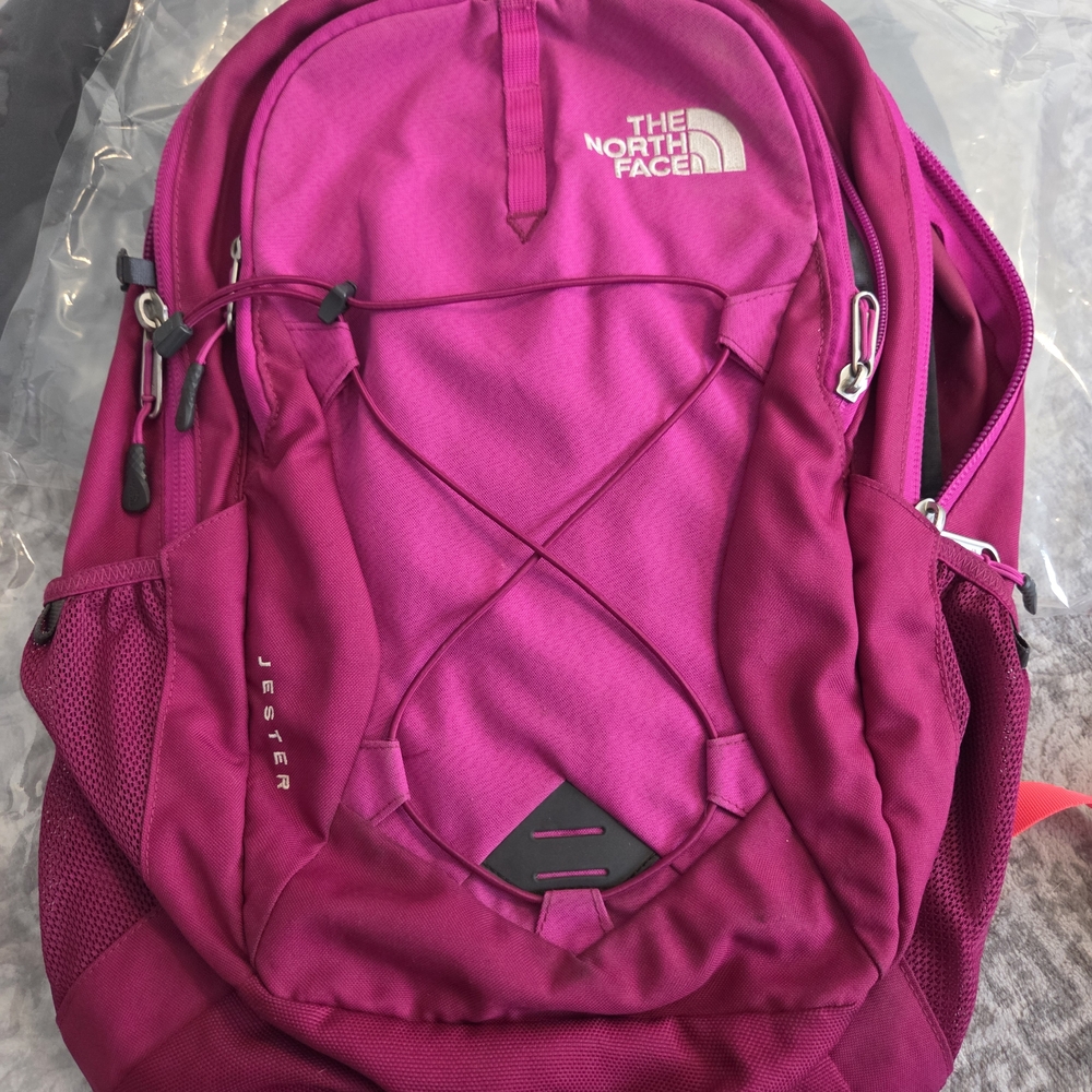 The North Face Pink Backpack